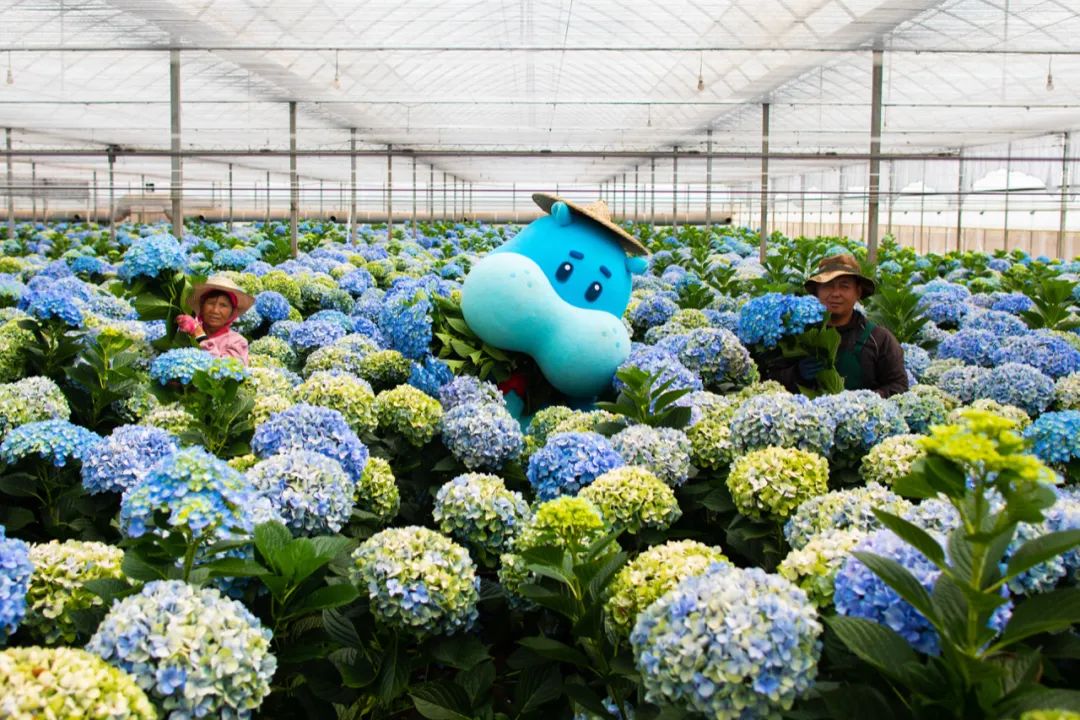 深圳品牌設(shè)計｜爛漫春日，這4個APP的鮮花營銷做得好有“花樣”！