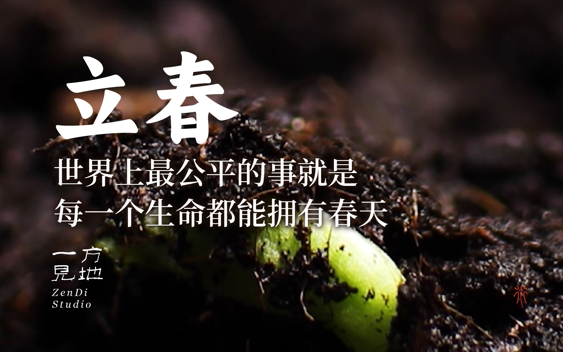 深圳品牌設(shè)計｜教科書級節(jié)氣文案，圈粉700W