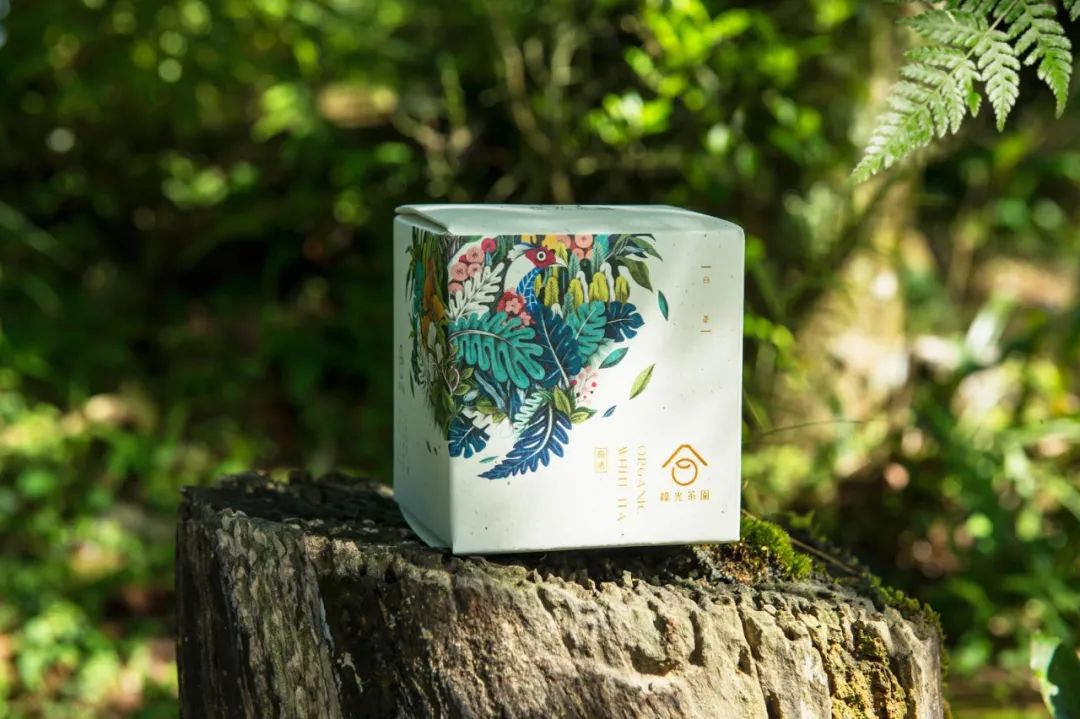 深圳品牌設(shè)計(jì)｜循環(huán)再利用，用茶渣造紙包裝茶葉——臺灣綠光茶園環(huán)保有機(jī)茶包裝設(shè)計(jì)欣賞